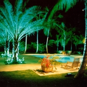 Landscape Lighting Palm Beach County