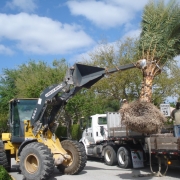 Landscape Construction Palm Beach County