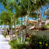 Landscape Design Palm Beach County