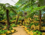 Botanical vision Garden South Florida
