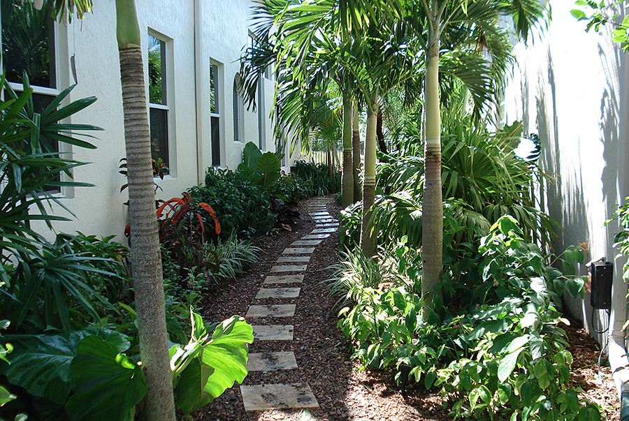 Botanical Visions Florida Landscape, Florida Landscaping Ideas For Side Yard