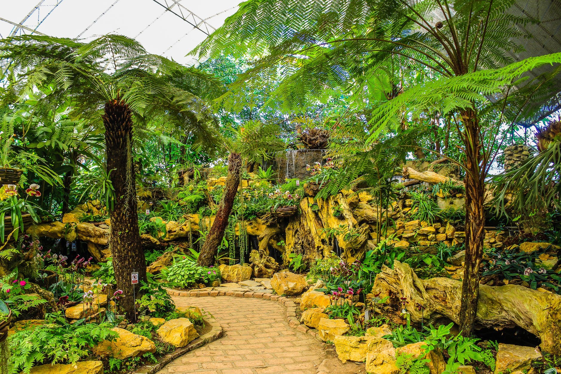 Botanical vision Garden South Florida